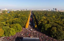 mani stop ttip
