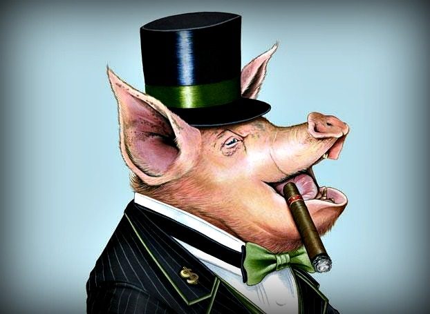 rich pig large