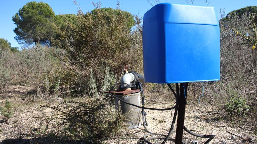 pozo ilegal doñana